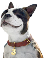 3's hund altid klar med et abonnementstjek