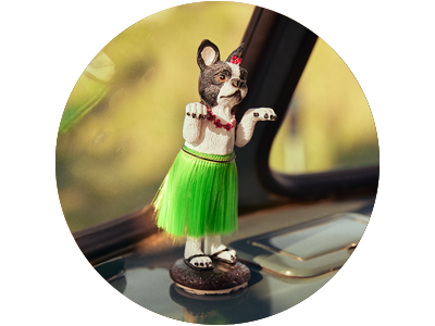 Dansende hund i forruden på en bil